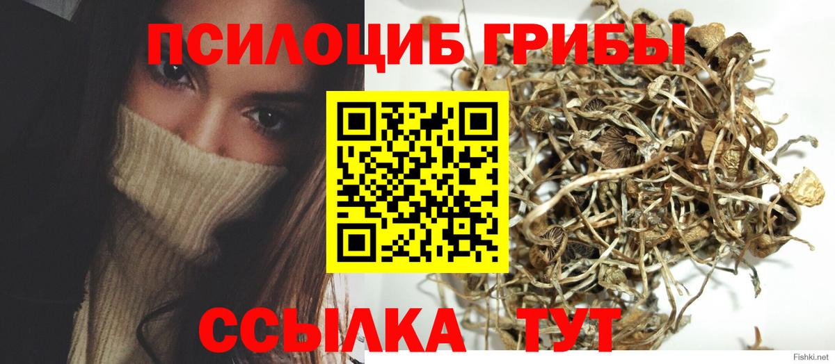 Галлюциногенные грибы GOLDEN TEACHER  Вход с VPN  Псилоцибиновые грибы прущие грибы  Пугачёв 